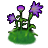 メギストリス紫花