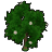メギストリス領の木Ｃ