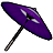 紫地に蛇の目傘