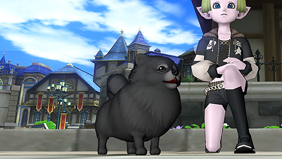 ポメラニ・黒カプセル[FP] 