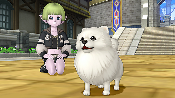 ポメラニ・白カプセル[FP] 