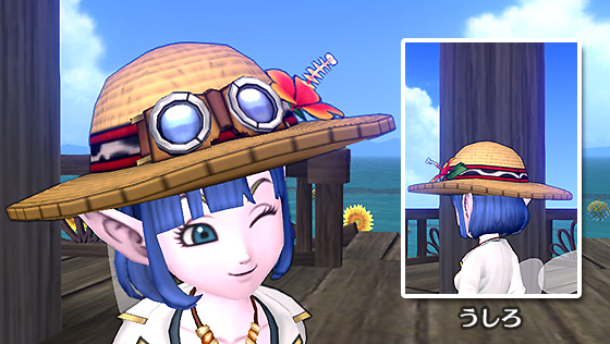 夏の渚の麦わら帽[FP] 