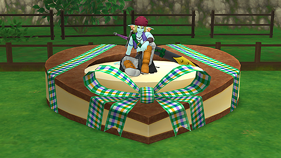 第１３回ヒューザ像庭[FP] 