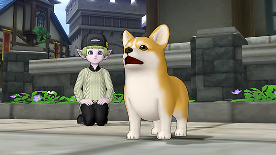 コーギー・茶白カプセル[FP] 