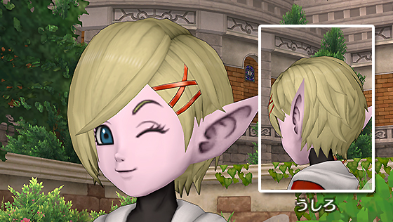 ヒロイックウィッグ[FP] 