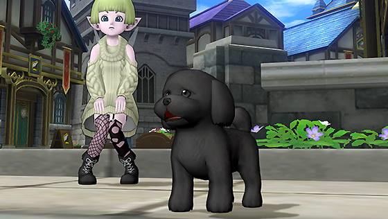 トイプー・黒カプセル[FP] 