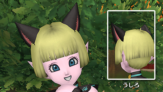 きまぐれ猫耳[FP] 