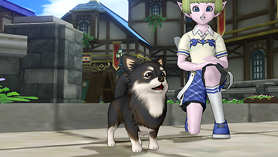 チワワ・黒白カプセル[FP] 