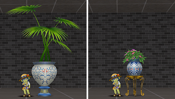 アラハの鉢植え[FP] 
