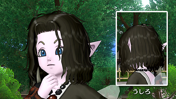 黒騎士のウィッグ[FP] 