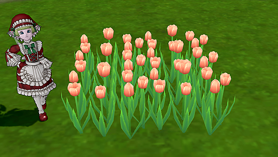 花咲く一軒家の花[FP] 