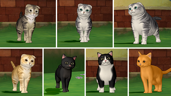 へんげの杖・猫[使用期限あり]