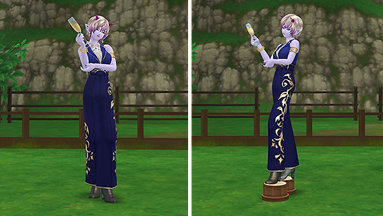 第１４回ヴァレリア像庭[FP] 