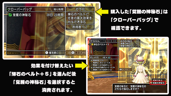 覚醒の神秘石４個セット [使用期限あり]