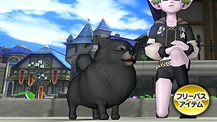 ポメラニ・黒カプセル[FP] 