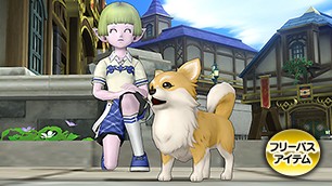 チワワ・茶白カプセル[FP] 