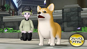 コーギー・茶白カプセル[FP] 