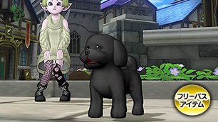 トイプー・黒カプセル[FP] 