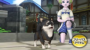 チワワ・黒白カプセル[FP] 