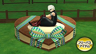 第１３回ラウル像庭[FP] 