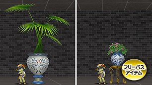 アラハの鉢植え[FP] 