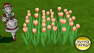 花咲く一軒家の花[FP] 