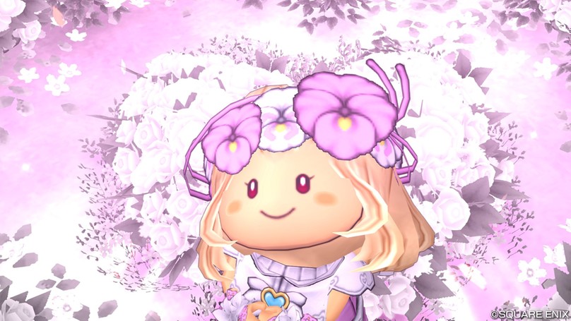 こむぎ様】ドラゴンクエスト10 エルフ女クラウンベスト