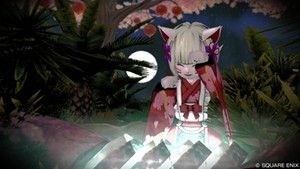 アストルティア思い出宝箱セット』などの特典アイテムの使い方 （2024