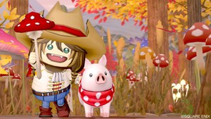 Dqx 第7回 アストルティア プリンセスコンテスト スライドショー画像一覧