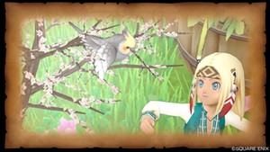 https://cache.hiroba.dqx.jp/dq_resource/slideshow/hB22i/o/0260855_000906_724494958.jpg