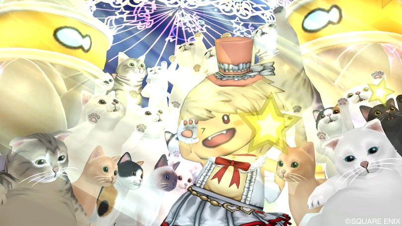 Dqx 第6回 アストルティア プリンセスコンテスト スライドショー画像一覧